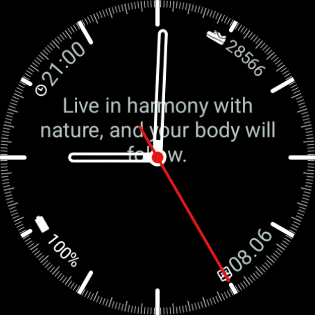 Stoic Year watchface showing a daily reflection
